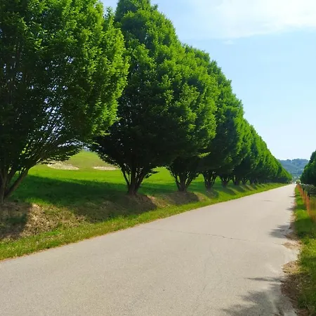 Monolocale Immerso Nel Verde